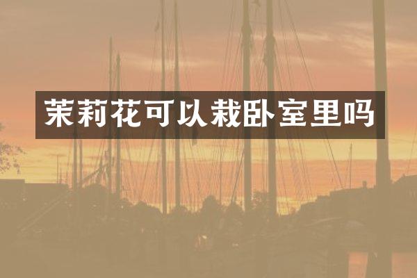 茉莉花可以栽卧室里吗