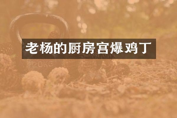 老杨的厨房宫爆鸡丁