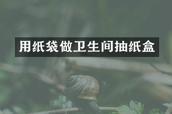 用纸袋做卫生间抽纸盒