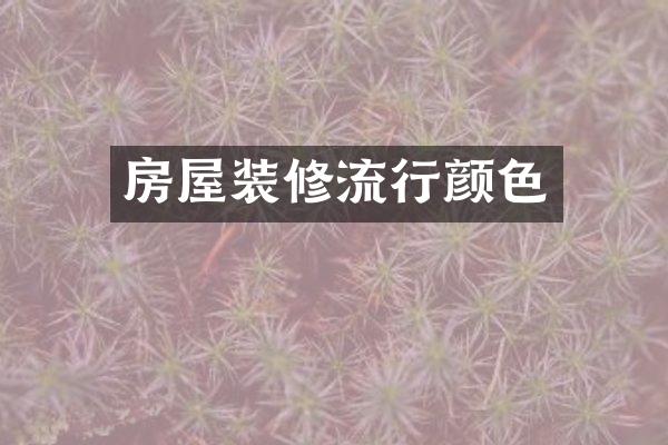 房屋装修流行颜色