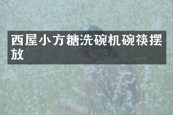 西屋小方糖洗碗机碗筷摆放
