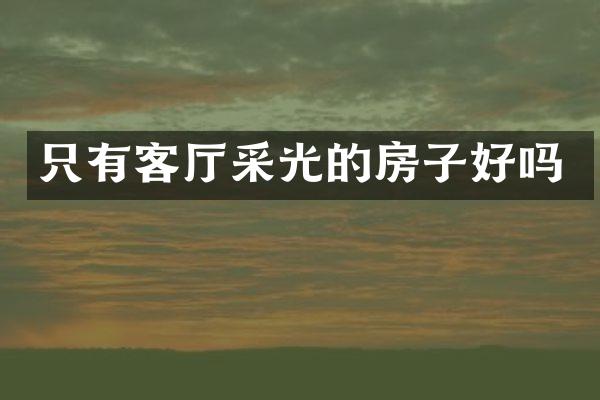 只有客厅采光的房子好吗