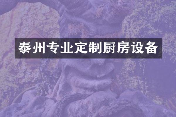 泰州专业定制厨房设备