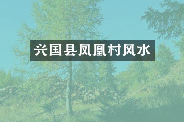 兴国县凤凰村风水