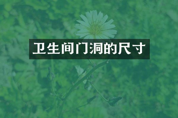 卫生间门洞的尺寸