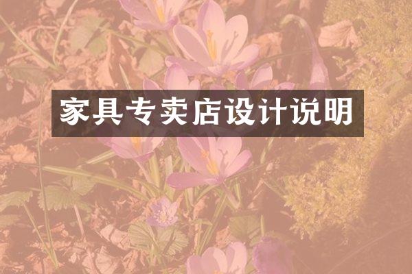 家具专卖店设计说明