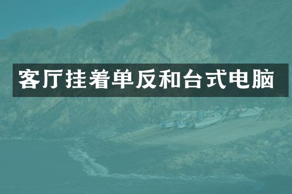 客厅挂着单反和台式电脑