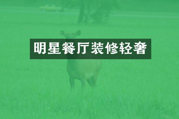 明星餐厅装修轻奢