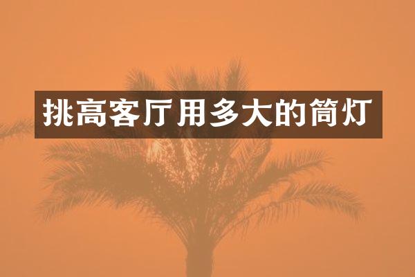 挑高客厅用多大的筒灯