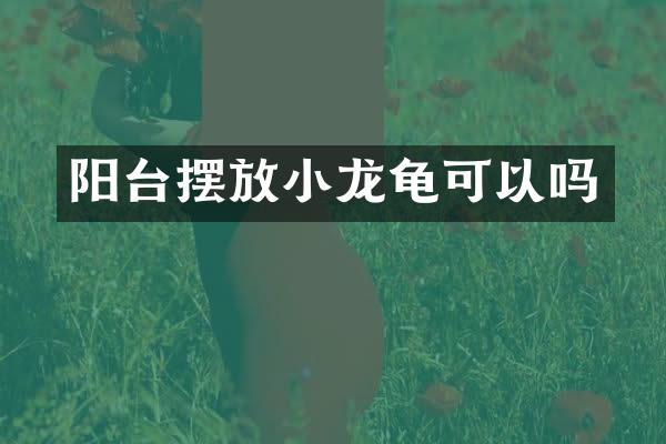 阳台摆放小龙龟可以吗