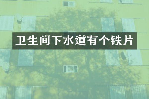 卫生间下水道有个铁片