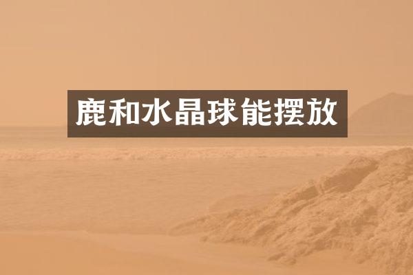鹿和水晶球能摆放