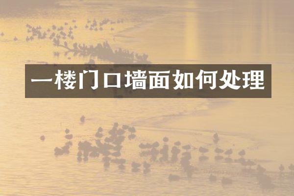 一楼门口墙面如何处理