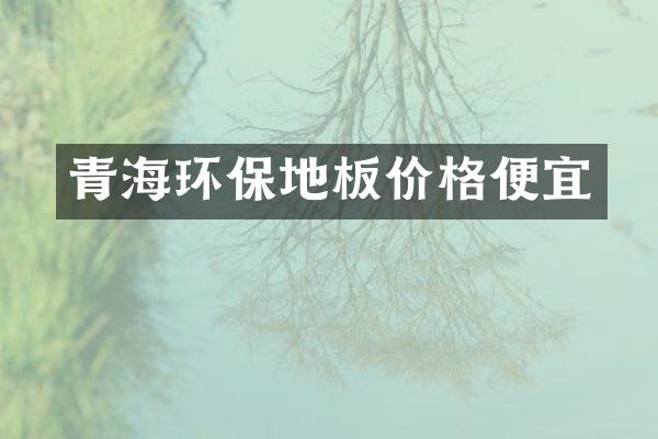 青海环保地板价格便宜