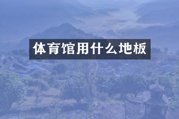 体育馆用什么地板