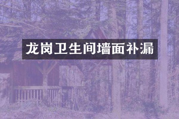 龙岗卫生间墙面补漏