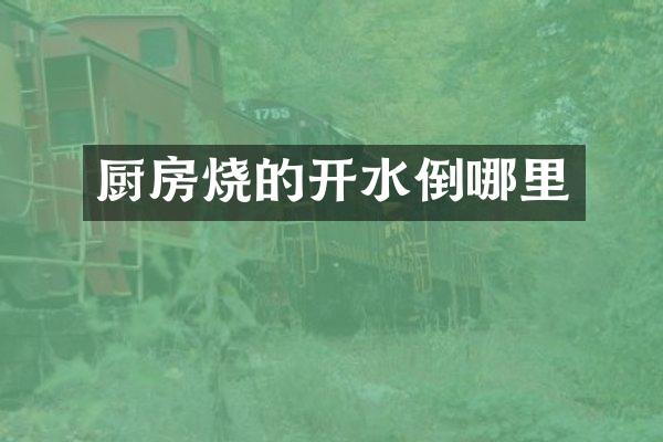 厨房烧的开水倒哪里