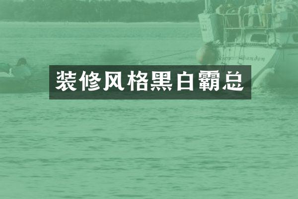 装修风格黑白霸总