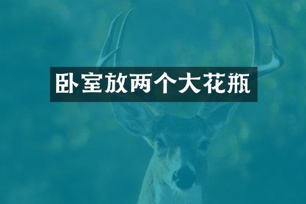 卧室放两个大花瓶