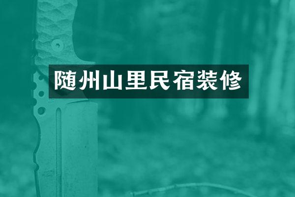 随州山里民宿装修