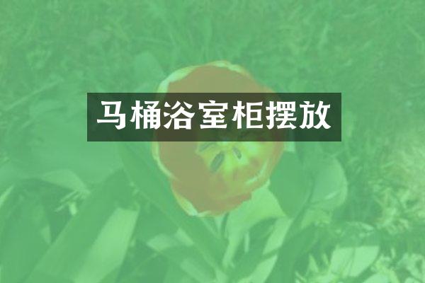 马桶浴室柜摆放