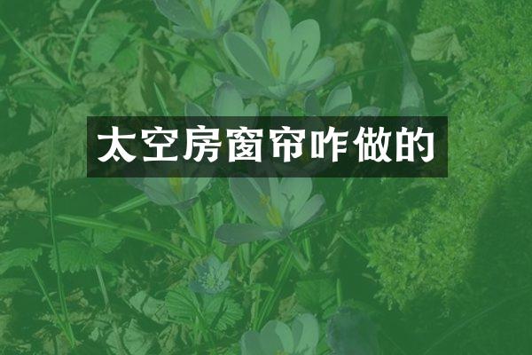 太空房窗帘咋做的