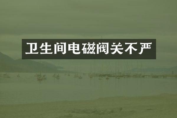卫生间电磁阀关不严