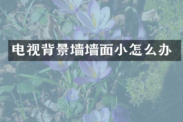 电视背景墙墙面小怎么办