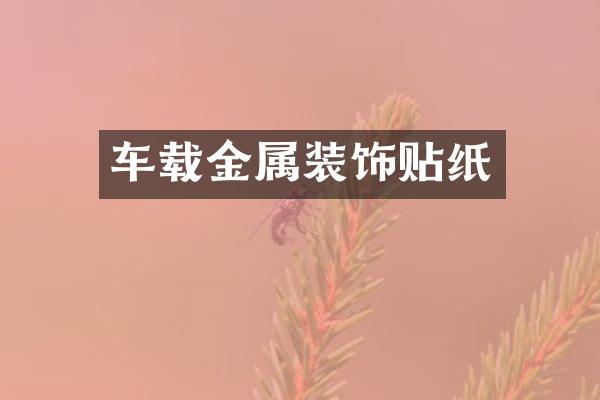 车载金属装饰贴纸