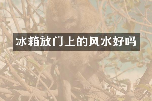 冰箱放门上的风水好吗