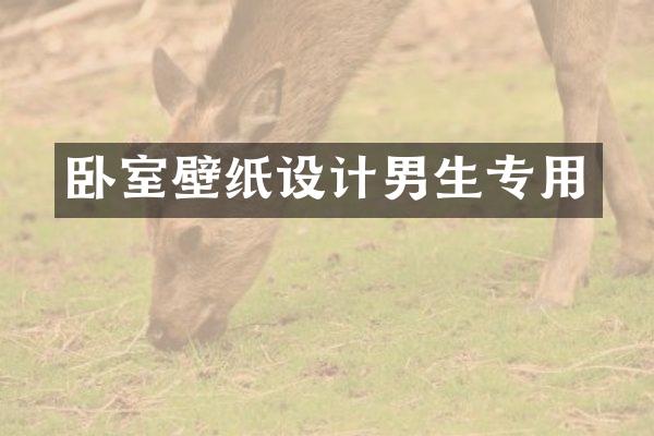 卧室壁纸设计男生专用
