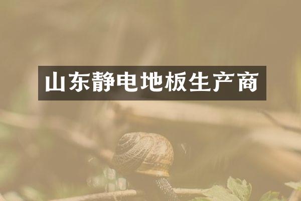 山东静电地板生产商
