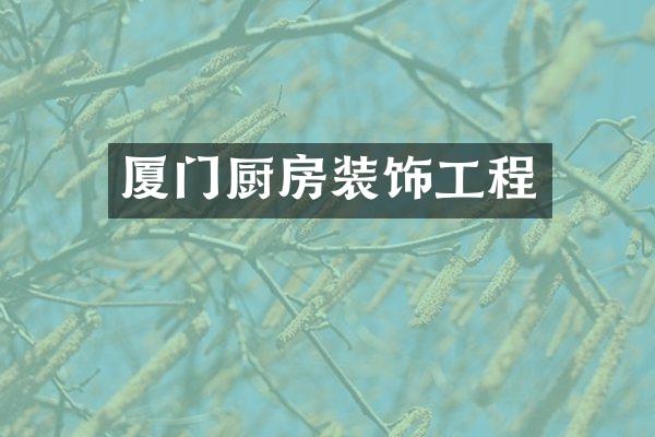厦门厨房装饰工程