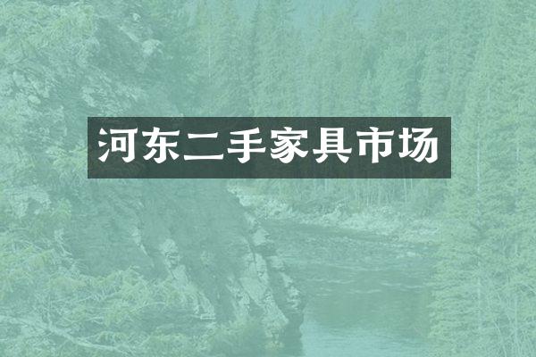 河东二手家具市场