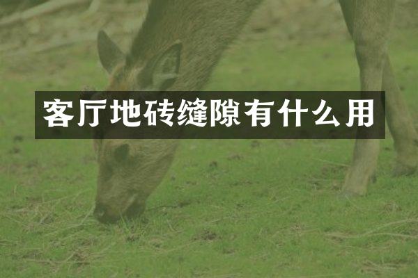 客厅地砖缝隙有什么用