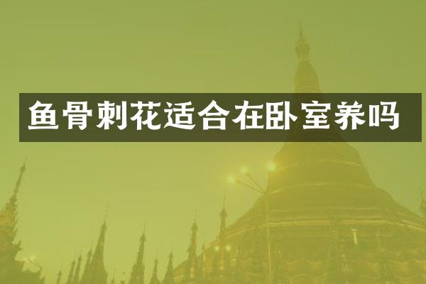 鱼骨刺花适合在卧室养吗