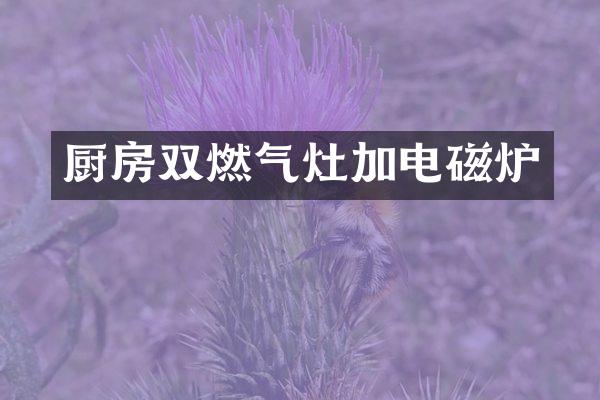厨房双燃气灶加电磁炉