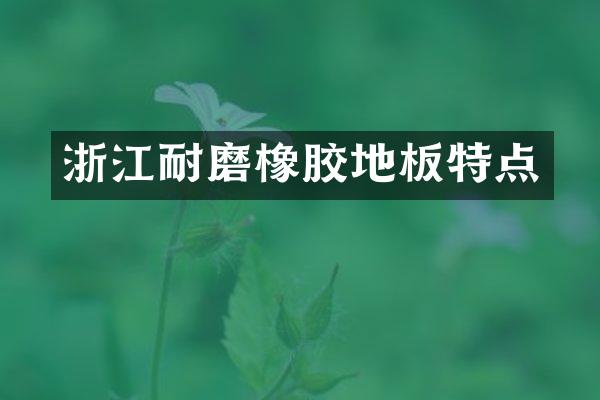 浙江耐磨橡胶地板特点