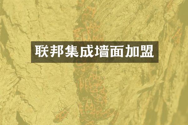 联邦集成墙面加盟