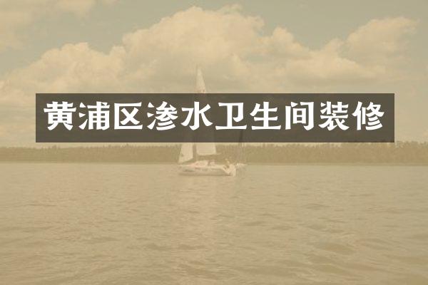 黄浦区渗水卫生间装修