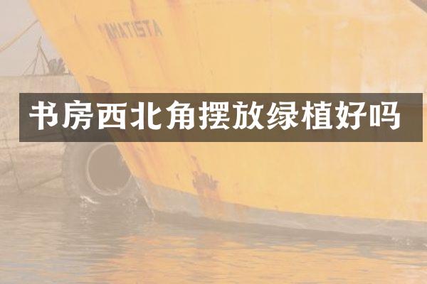 书房西北角摆放绿植好吗