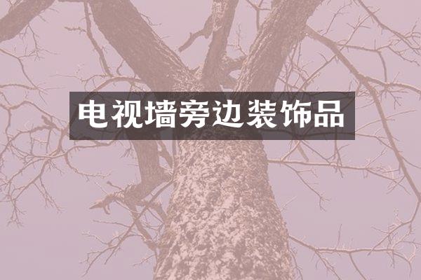电视墙旁边装饰品