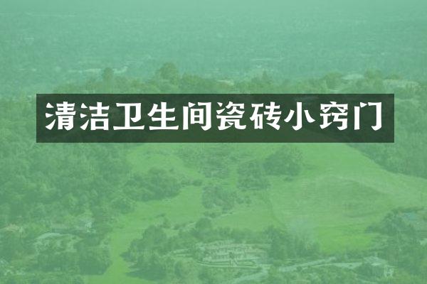 清洁卫生间瓷砖小窍门
