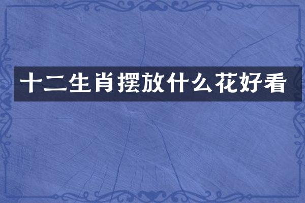 十二生肖摆放什么花好看