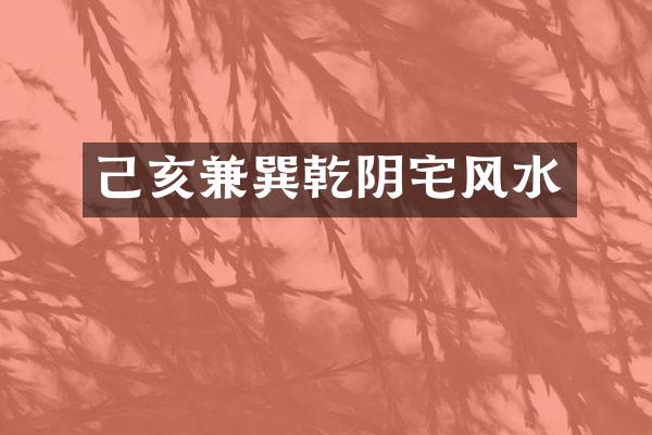 己亥兼巽乾阴宅风水