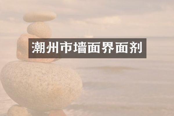 潮州市墙面界面剂