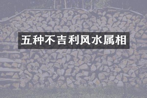 五种不吉利风水属相