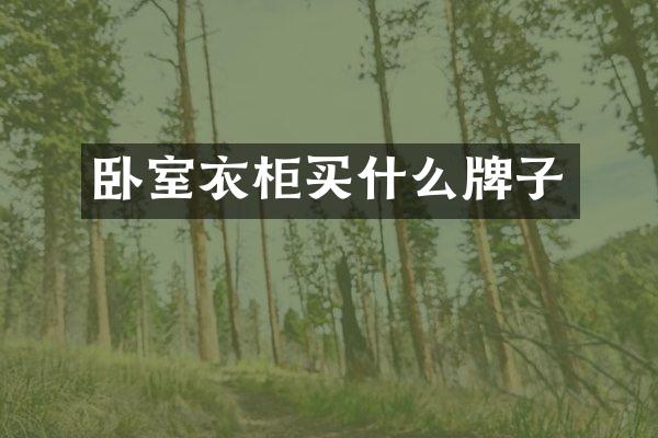 卧室衣柜买什么牌子