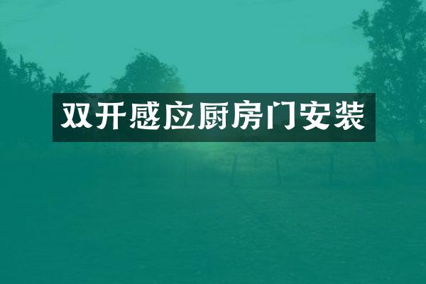 双开感应厨房门安装