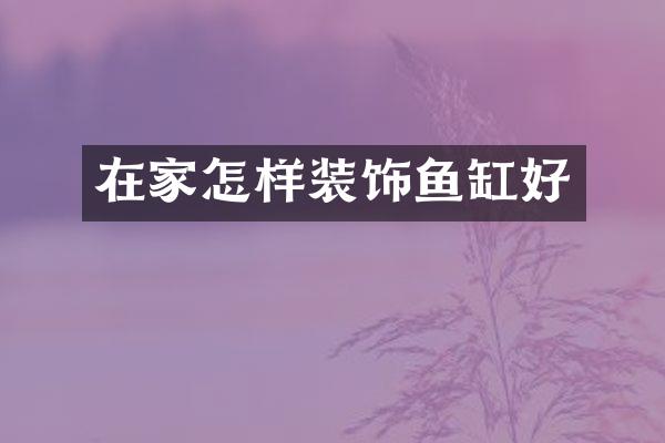 在家怎样装饰鱼缸好